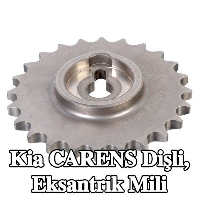 FEBI BILSTEIN Dişli, eksantrik mili — Kia Carens