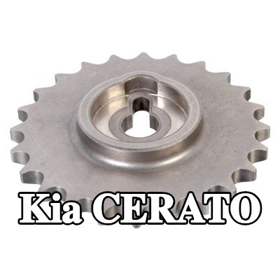 FEBI BILSTEIN ترس، عمود الكامات — Kia Cerato