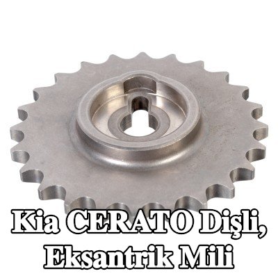 FEBI BILSTEIN Dişli, eksantrik mili — Kia Cerato