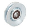 CAFFARO Saptırma / kılavuz kasnağı, V-ribbed belt Outer Diameter: 79mm — 2003 Nissan X-trail (3)