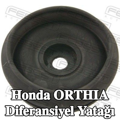 FEBEST Diferansiyel yatağı Arka Aks Üst — Honda Orthia