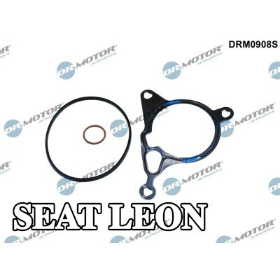 DR.MOTOR AUTOMOTIVE مجموعة مانعات التسرب، مضخة التفريغ — SEAT Leon