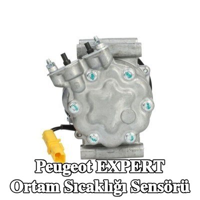 THERMOTEC Ortam sıcaklığı sensörü — 1997 Peugeot Expert