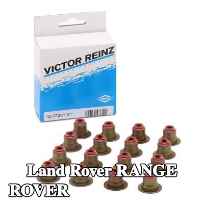 REINZ مجموعة سدادات صمامات الصمامات — Land Rover Range Rover