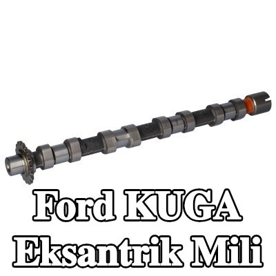 FEBI BILSTEIN Eksantrik Mili Emme Tarafı — 2013 Ford Kuga