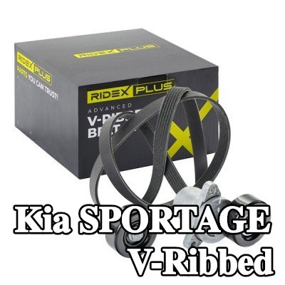 RIDEX PLUS مجموعة أحزمة V-Ribbed — 2004 Kia Sportage