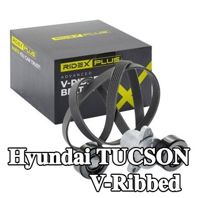 RIDEX PLUS مجموعة أحزمة V-Ribbed — 2004 Hyundai Tucson