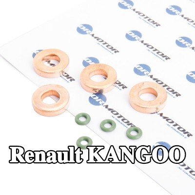 DR.MOTOR AUTOMOTIVE طقم مانع تسرب الحاقن — Renault Kangoo