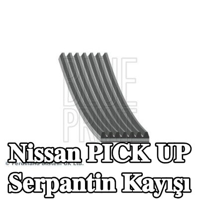 BLUE PRINT Serpantin kayışı 1260mm, Number of ribs: 7 — Nissan Pick Up