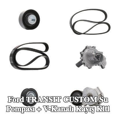 RIDEX Su Pompası + V-Kanalı Kayış Kiti — Ford Transit Custom
