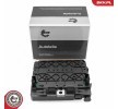 ESEN SKV Kontrol ünitesi, motor yönetimi — Citroën C2 (4)