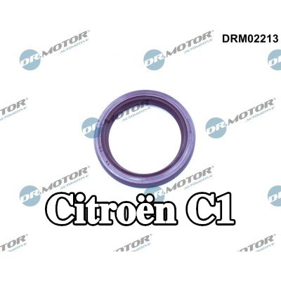 DR.MOTOR AUTOMOTIVE حشية عمود الكامات الجانب الأمامي — Citroën C1