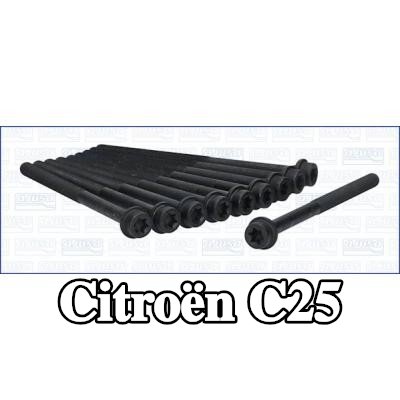AJUSA مجموعة البراغي, رأس الأسطوانة M11, 175mm — 1990 Citroën C25