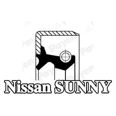 PAYEN حشية العمود, محور العجلة المحور الخلفي, داخلي — Nissan Sunny