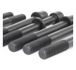 REINZ Cıvata Kiti, silindir kafası M12, 104mm — Renault Sport Spider (4)