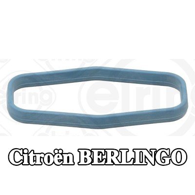 ELRING السدادة, مضخة الزيت السفلية, أنبوب الشفط — Citroën Berlingo