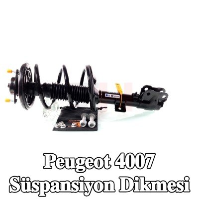 GH Süspansiyon Dikmesi — Peugeot 4007