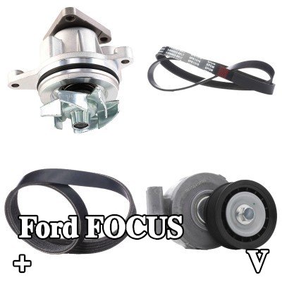 RIDEX مضخة الماء + مجموعة الحزام المضلع على شكل V — Ford Focus