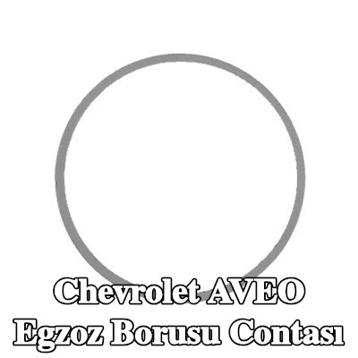 WALKER Egzoz borusu contası — Chevrolet Aveo