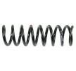 SACHS Helezon yay — 2002 Mercedes-Benz Slk (3)