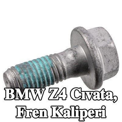 FEBI BILSTEIN Cıvata, fren kaliperi Arka Aks — 2002 BMW Z4