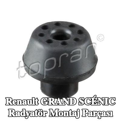 TOPRAN Radyatör yuvası Alt — 2004 Renault Grand Scénic