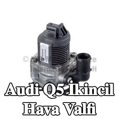 PIERBURG İkincil hava valfi — Audi Q5