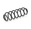 SACHS Helezon yay — SEAT Cordoba (2)