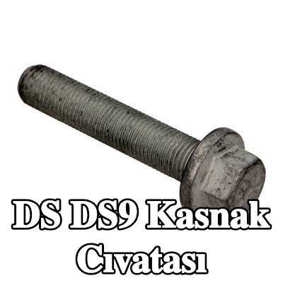 CITROEN/PEUGEOT Kasnak Cıvatası — DS Ds9