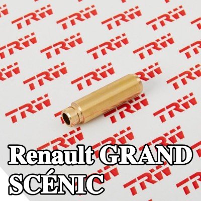 TRW Engine Component أدلة الصمامات جانب العادم, جانب السحب — Renault Grand Scénic