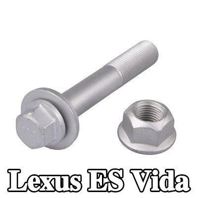 TEDGUM Vida — Lexus Es