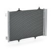 RIDEX Kurutuculu klima kondansatörü — 1994 Citroën Xantia (3)