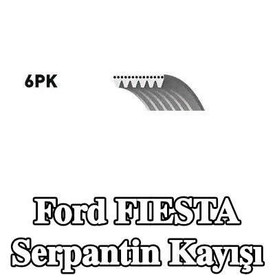 BOSCH Serpantin kayışı 1623mm, Number of ribs: 6 — 2004 Ford Fiesta