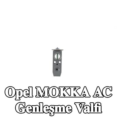 MAHLE Conta/sızdırmazlık elemanı olmayan AC genleşme valfi — Opel Mokka