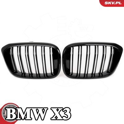 ESEN SKV شبكة المبرد على الجانبين, لامع, أسود — BMW X3