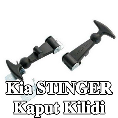 CARPOINT Kaput Kilidi Kaput — Kia Stinger