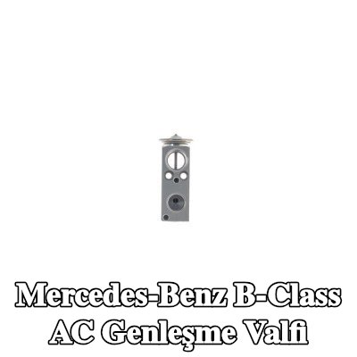 MAHLE AC genleşme valfi — 2012 Mercedes-Benz B-Class