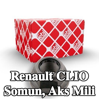 FEBI BILSTEIN Somun, arka aks ucu — Renault Clio