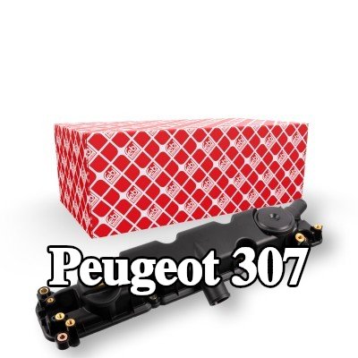 FEBI BILSTEIN غطاء الروك مع حشية/مانع تسرب — Peugeot 307