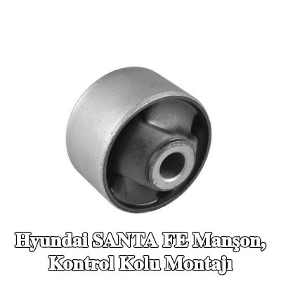 TEDGUM Manşon, kontrol kolu montajı — Hyundai Santa Fe