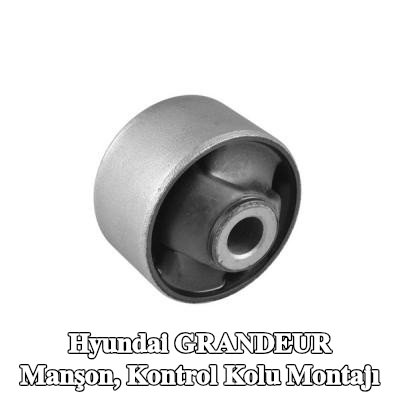 TEDGUM Manşon, kontrol kolu montajı — Hyundai Grandeur
