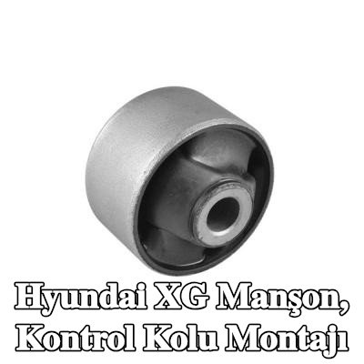 TEDGUM Manşon, kontrol kolu montajı — Hyundai Xg