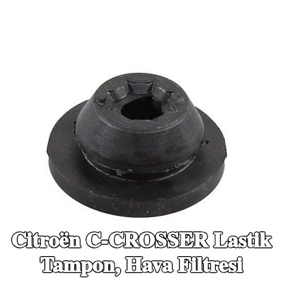 METZGER Lastik tampon, hava filtresi — Citroën C-crosser