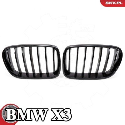 ESEN SKV شبكة المبرد - لامعة, أسود — 2012 BMW X3