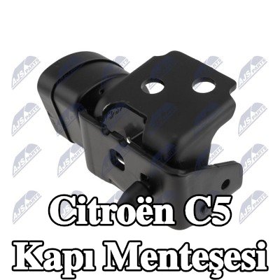 NTY Sağ Arka Kapı Menteşesi — Citroën C5