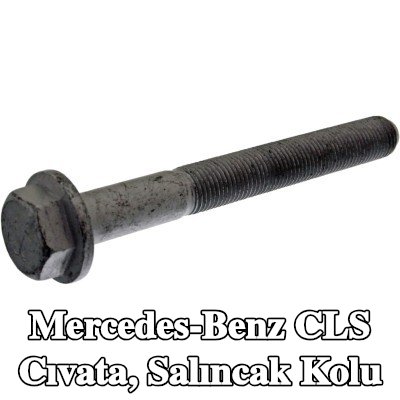 FEBI BILSTEIN Cıvata, salıncak kolu — Mercedes-Benz Cls