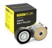 RIDEX PLUS Gergi kasnağı — Ford Ka (1)