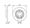 BOSCH Fren diski Dış Çap: 290mm, düz, Kaplamalı, cıvata/vida ile — DS Ds4 (9)