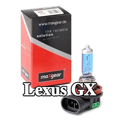 MAXGEAR لمبة مصباح ضباب — Lexus Gx
