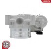 ESEN SKV Contasız/sızdırmazlık halkasız gaz kelebeği gövdesi, Kontrol Ünitesi/Yazılımı eğitilmeli/güncellenmelidir — Ford S-max (1)